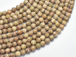 Fossil Jasper Beads, 6mm, Round Beads-RainbowBeads