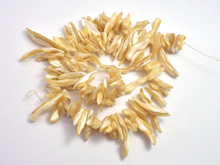 Mother of Pearl, MOP, Brown, (5-8)mmx(12-35)mm Stick Beads-RainbowBeads