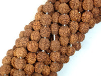 Rudraksha Beads, 7.5mm-8mm Round Beads-RainbowBeads