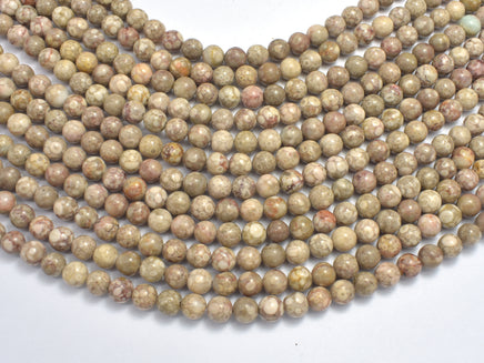 Fossil Jasper Beads, 6mm, Round Beads-RainbowBeads