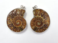Ammonite Pendant, Fossil Pendant, with Silver Tone Base Metal Bail 1 piece