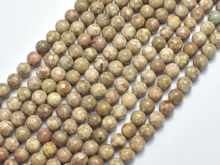 Fossil Jasper Beads, 6mm, Round Beads-RainbowBeads