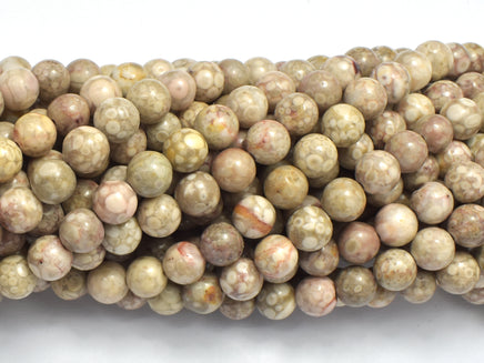 Fossil Jasper Beads, 6mm, Round Beads-RainbowBeads