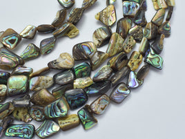 Abalone 10-14mm Nugget Beads-Rainbow Beads