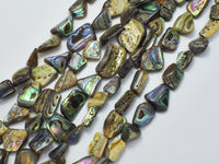 Abalone 10-14mm Nugget Beads-Rainbow Beads