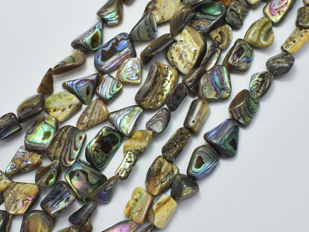 Abalone 10-14mm Nugget Beads-Rainbow Beads