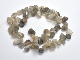 Gray Moonstone, (8-10)x(9-16)mm Free Form Beads-RainbowBeads