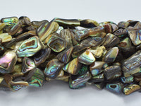 Abalone 10-14mm Nugget Beads-Rainbow Beads