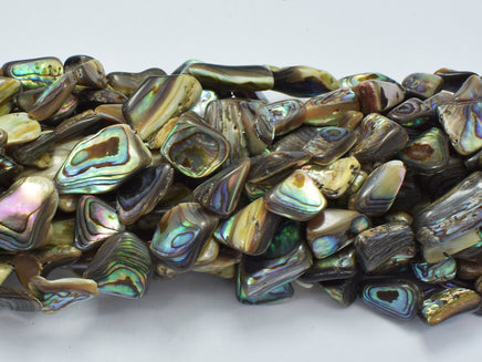 Abalone 10-14mm Nugget Beads-Rainbow Beads