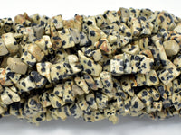 Dalmation Jasper Beads, 4-9mm Chips Beads, 34 Inch-RainbowBeads