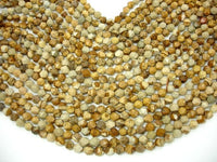Picture Jasper Beads, 8mm Star Cut Faceted Round Beads-RainbowBeads