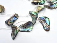 Abalone (18-25)x(28-35)mm Free Form Beads, Side Drilled, 14 Inch-RainbowBeads