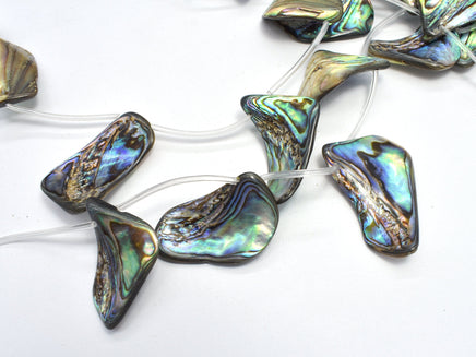 Abalone (18-25)x(28-35)mm Free Form Beads, Side Drilled, 14 Inch-RainbowBeads