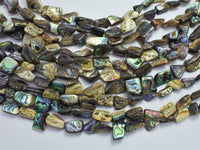 Abalone 10-14mm Nugget Beads-Rainbow Beads