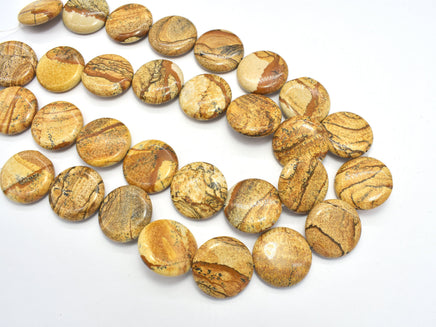 Picture Jasper Beads, 25mm Coin Beads-RainbowBeads