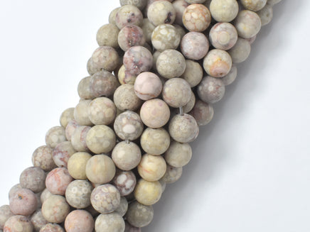 Matte Fossil Jasper Beads, 8mm Round Beads-RainbowBeads