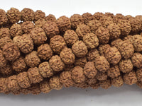Rudraksha Beads, Approx 7x8mm Rondelle Beads, 29-31 Inch,-RainbowBeads