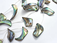 Abalone (18-25)x(28-35)mm Free Form Beads, Side Drilled, 14 Inch-RainbowBeads