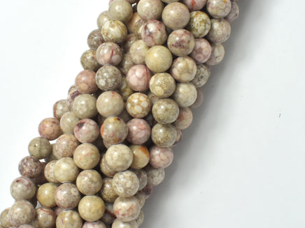 Fossil Jasper Beads, 8mm Round Beads-RainbowBeads