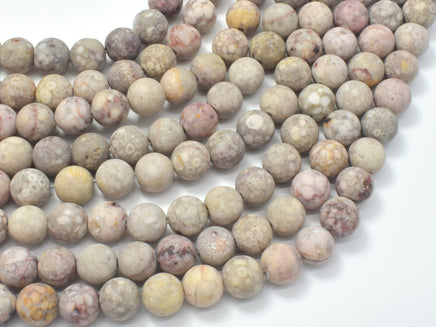 Matte Fossil Jasper Beads, 8mm Round Beads-RainbowBeads