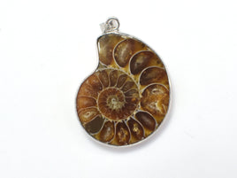 Ammonite Pendant, Fossil Pendant, with Silver Tone Base Metal Bail 1 piece-RainbowBeads