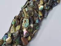 Abalone 10-14mm Nugget Beads-Rainbow Beads