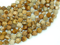Picture Jasper Beads, 8mm Star Cut Faceted Round Beads-RainbowBeads