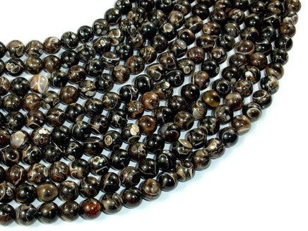 Turritella Agate, Elimia Tenera Fossil Shell, 6mm(6.4mm) Round Beads-RainbowBeads