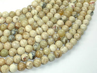 African Opal, 8mm (8.3mm) Round Beads, 15.5 Inch, Full strand-RainbowBeads