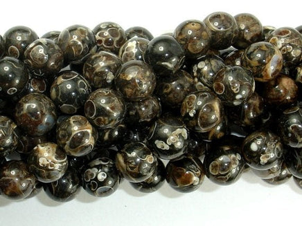Turritella Agate, Elimia, 10mm Round Beads, 16 Inch-RainbowBeads