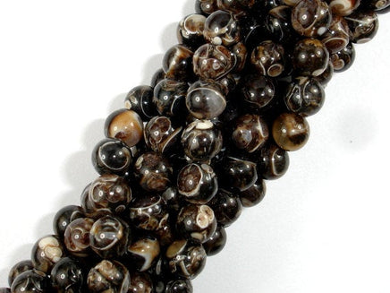 Turritella Agate, Elimia Tenera Fossil Shell, 6mm(6.4mm) Round Beads-RainbowBeads
