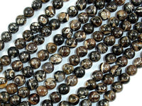 Turritella Agate, Elimia Tenera Fossil Shell, 6mm(6.4mm) Round Beads-RainbowBeads