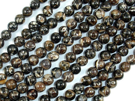 Turritella Agate, Elimia Tenera Fossil Shell, 6mm(6.4mm) Round Beads-RainbowBeads