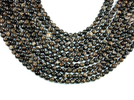 Turritella Agate, Elimia Tenera Fossil Shell, 6mm(6.4mm) Round Beads-RainbowBeads