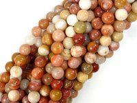 Petrified Wood, 6mm Round Beads-RainbowBeads