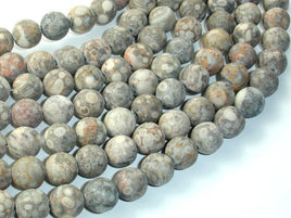 Matte Fossil Jasper Beads, 10mm, Round Beads-RainbowBeads