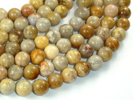 Fossil Coral Beads, 10mm, Round Beads-RainbowBeads