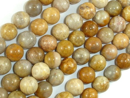 Fossil Coral Beads, 10mm, Round Beads-RainbowBeads