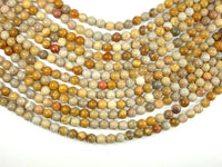 Fossil Coral Beads, 7mm, Round Beads-RainbowBeads