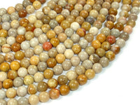 Fossil Coral Beads, 7mm, Round Beads-RainbowBeads