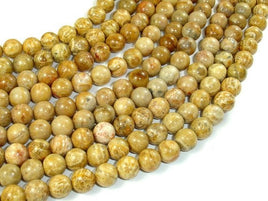 Fossil Coral Beads, 8mm Round Beads-RainbowBeads