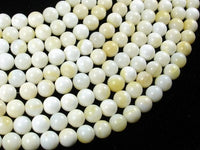 Tridacna Shell, 8mm Round Beads-RainbowBeads