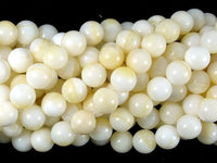 Tridacna Shell, 8mm Round Beads-RainbowBeads