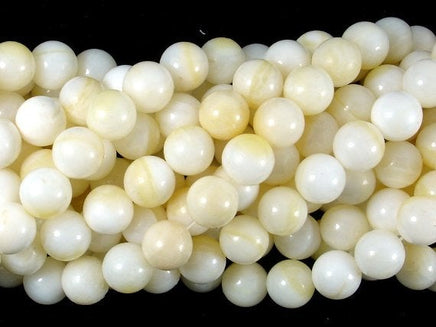Tridacna Shell, 8mm Round Beads-RainbowBeads