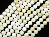 Tridacna Shell, 8mm Round Beads-RainbowBeads