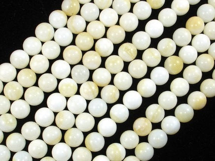Tridacna Shell, 8mm Round Beads-RainbowBeads